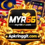 MYR66